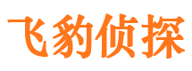 北湖外遇调查取证